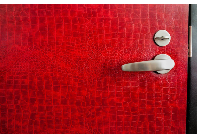 Door